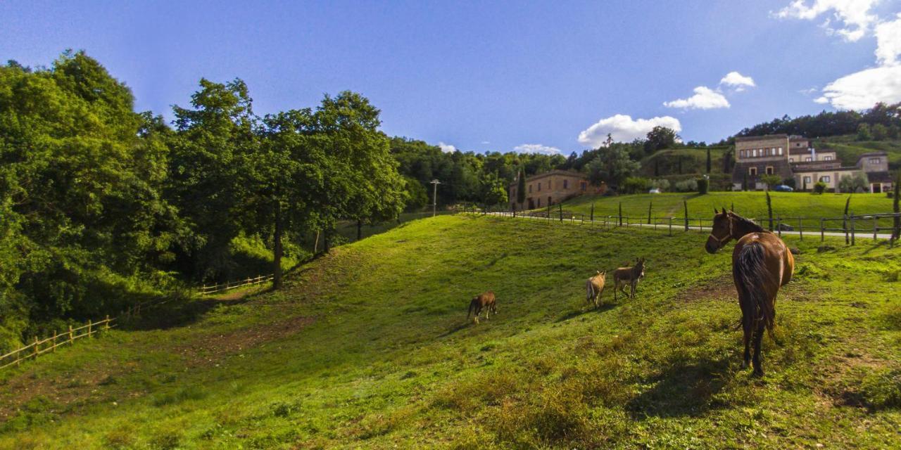 Borghetto  Agriturismo Rio Coverino מראה חיצוני תמונה